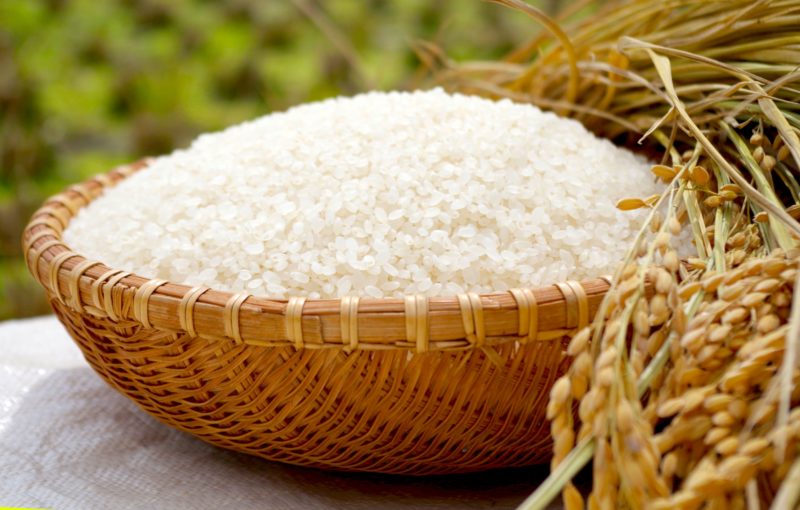 米の保存は袋のままで大丈夫？適切な方法や必須アイテムをご紹介！